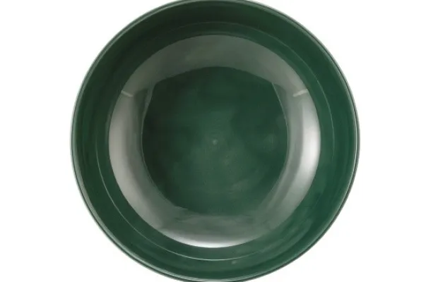 Terra Foodbowl 20 cm Moosgrün