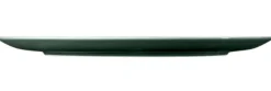 Terra Speiseteller rund 31 cm Moosgrün uni